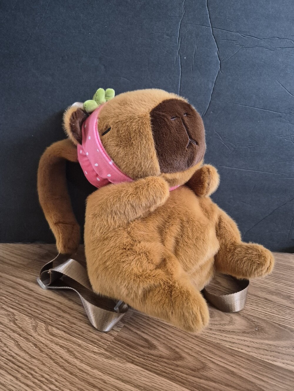 Carried Away Brown Capybara Kid's Backpack New without tags.